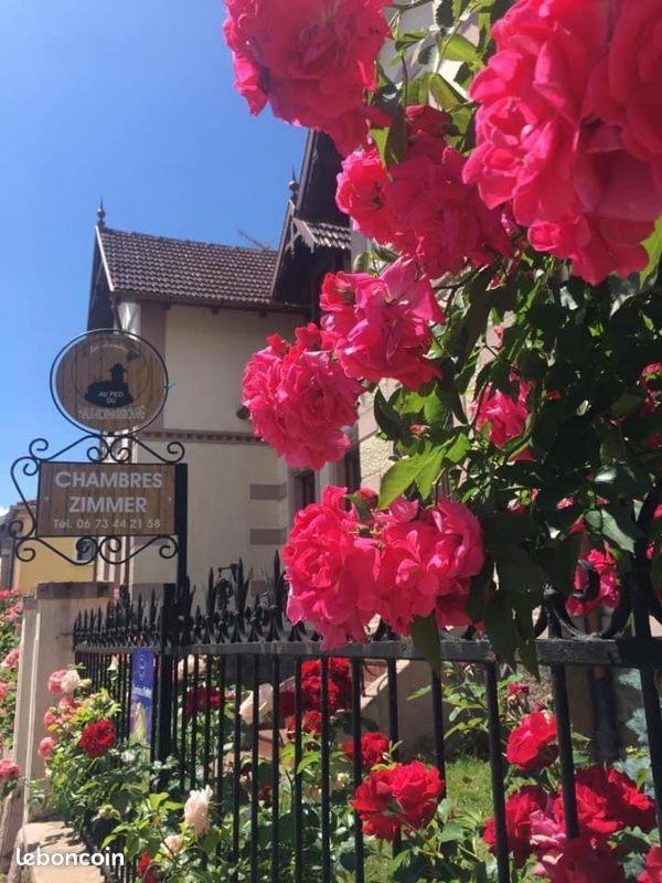 Gites Au Pied Du Haut-Koenigsbourg Кинцхайм Екстериор снимка